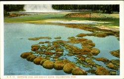 Sapphire Pool And Biscut Basin, Yellowstone Park Postcard