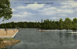 Swimming Area, Natchez Trace State Park Postcard