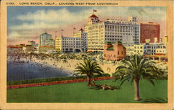 Looking west from auditorium Postcard