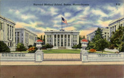 Harvard Medical School Postcard
