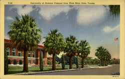 University Of Arizona Campus Postcard