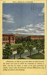 University of Arizona Postcard