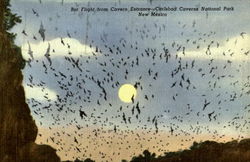 Bat Flight from, Cavern Entrance Carlsbad Caverns National Park Postcard