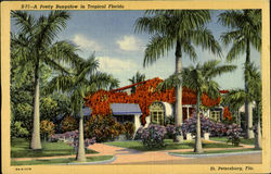 A Pretty Bungalow Postcard