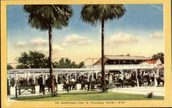 The Shuffleboard Club Postcard