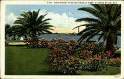 Waterfront Park And Halifax River Postcard