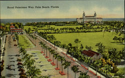 Royal Poinciana Way Postcard
