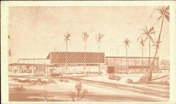 Orange Blossom Playhouse Postcard