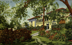 A BEAUTIFUL FLORIDA ESTATE Coconut Grove Postcard