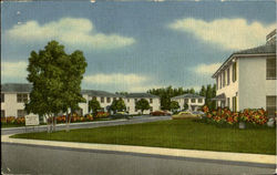 Halifax Apartments, 110 Botefuhr Avenue Daytona Beach Postcard