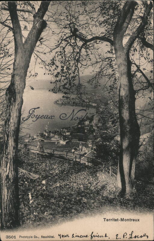 Territet-Montreux Scenic View from Elevated Vantage Point Switzerland