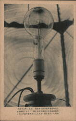 Large Incandescent Light Bulb on Display Postcard