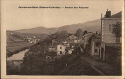 Avenue des Platanes, Cambo-les-Bains, France Postcard