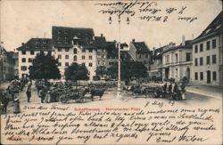Herrenacker-Platz, Schaffhausen, Switzerland - Horse-Drawn Carts Postcard