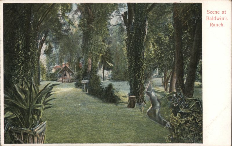 Scene at Baldwin's Ranch Los Angeles California