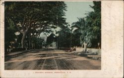 Nuuanu Avenue, Honolulu Postcard