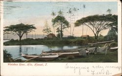 Waia kea River, Hilo, Hawaii Postcard
