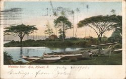 Waia kea River, Hilo, Hawaii Postcard