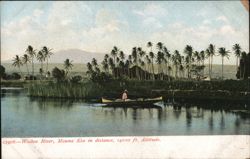 Waikea River, Mauna Kea in distance, 14000 ft. Altitude Postcard