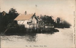 Wailuku River Hilo Postcard