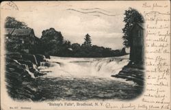 Bishop's Falls, Brodhead, NY Postcard