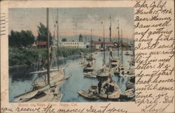 Scene on Napa River, Napa, CA Postcard