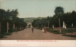 Palm Avenue, Sutro Heights, San Francisco Postcard
