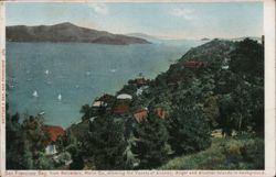 San Francisco Bay from Belvedere, Marin County Postcard