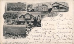 Greetings from San Rafael, California Postcard