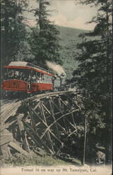 Trestle 18 on Mt. Tamalpais Railroad, California Postcard