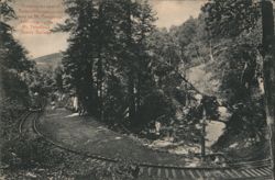 Crossing Redwood Canyon on Mt. Tamalpais Scenic Railway Postcard