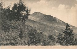 Mt. Tamalpais, California and Tavern near the Summit Postcard