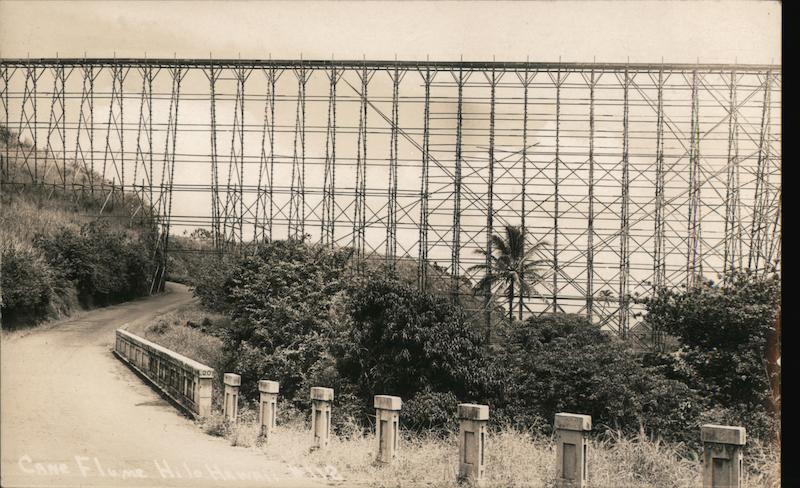 Cane Flume North of Hilo Hawaii