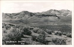 The Nevada Desert Postcard