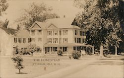 The Homestead Postcard