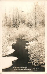 Winter Scene in Forest with Creek Postcard