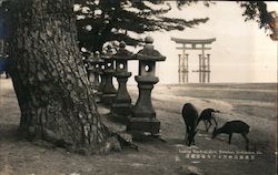 Stock #1004026 Thumbnail