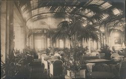 Winter Garden - SS Cap Polonio Postcard