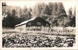 Barn, Emandal Postcard