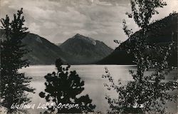 Beautiful Wallowa Lake Joseph, OR Postcard Postcard Postcard