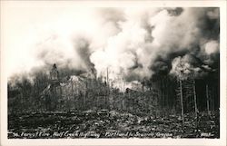 Forest Fire Wolf Creek Highway Portland to Seaside Postcard