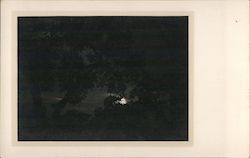 Night Time Photo of the Moon Through Trees Postcard