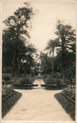 Jardim da Luz São Paulo, Brazil Postcard Postcard Postcard