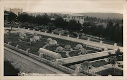 Instituto Butantan São Paulo, Brazil Postcard Postcard Postcard