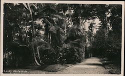 s Lands Plantentuin Bogor, West Java Indonesia Postcard Postcard Postcard