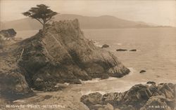 Midway Point Lone Cypress Pebble Beach, CA Postcard Postcard Postcard