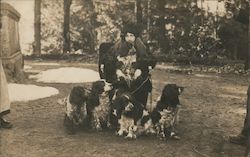 Girl with Several Dogs Posing for Photo Spaniels or Setters Postcard