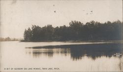 A Bit of Scenery on Lake Minnie Twin Lake, MI Postcard Postcard Postcard