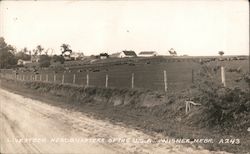 Livestock Headquarters of the USA Postcard