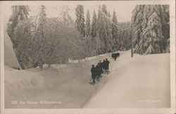 Keiser Wilhelm's Vie Christiania, Norway Postcard Postcard Postcard